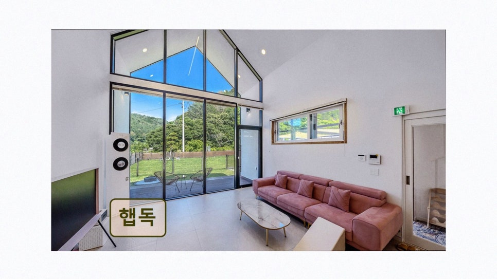 햅독 사진 3