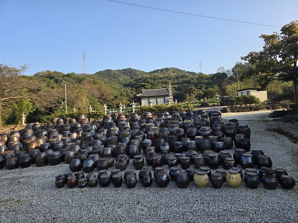 성산 사진 2