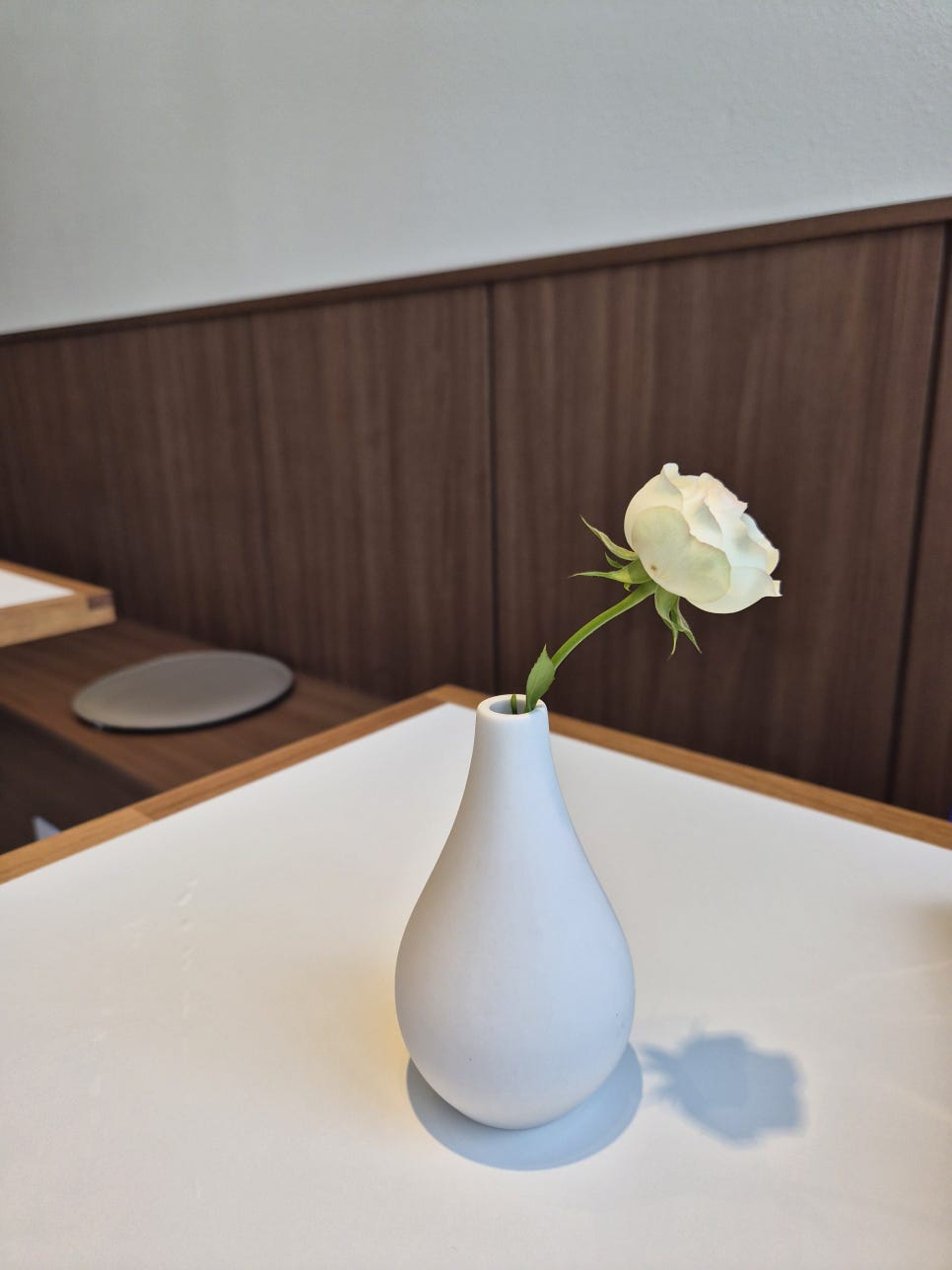 어피 사진 3