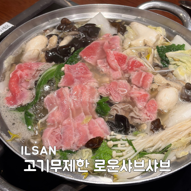 일산 가성비 맛집 로운샤브샤브 뉴코아점 고기무제한 샐러드바 이용후기