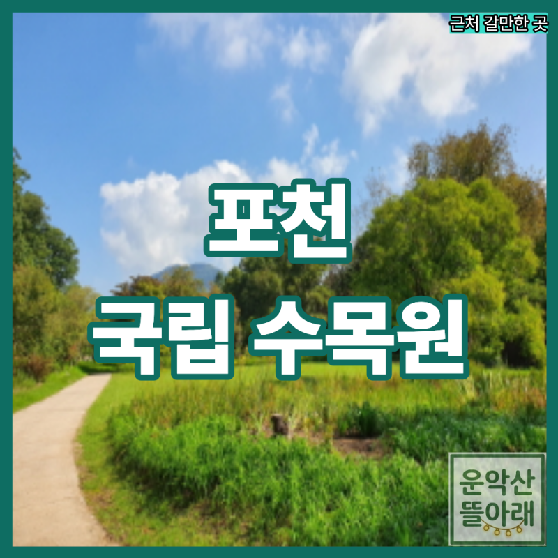 [포천 가볼만한곳] 비가 와도 맑아도 힐링되는 국립수목원(광릉수목원) 찐 후기 및 예약 팁!