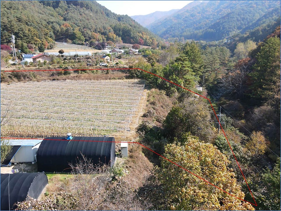 절골 사진 6