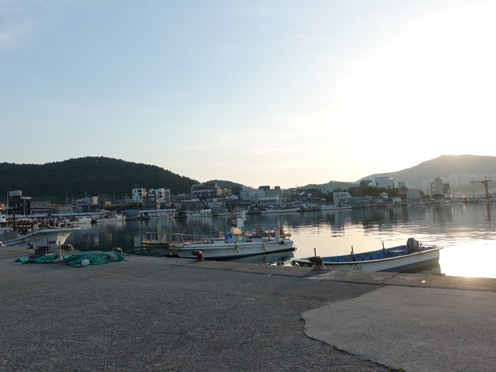칠광호 사진 1