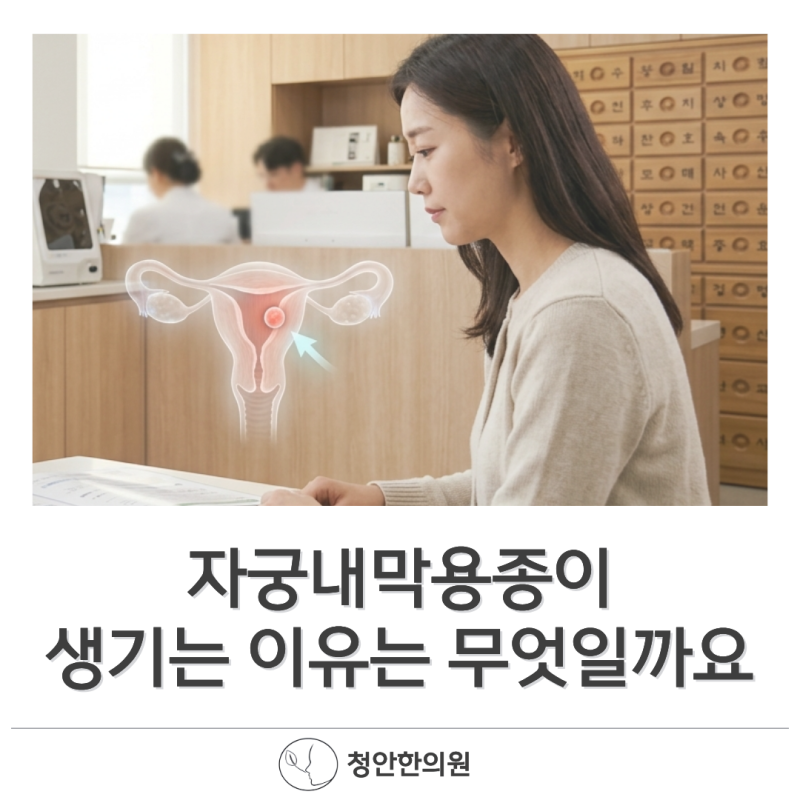 서초 한의원, 자궁내막용종이 생기는 이유는 무엇일까요