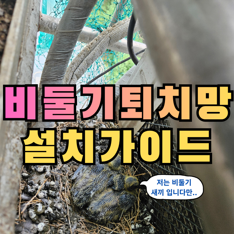 비둘기퇴치망 설치 후기, 비둘기망 시공 비용과 어려운 현장