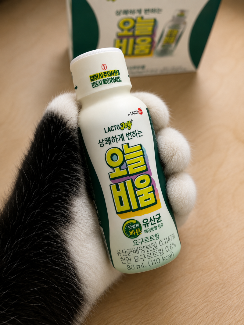 다이소 오늘비움 변비 효과 시간, 락토핏 쾌변 음료 내돈내산 후기