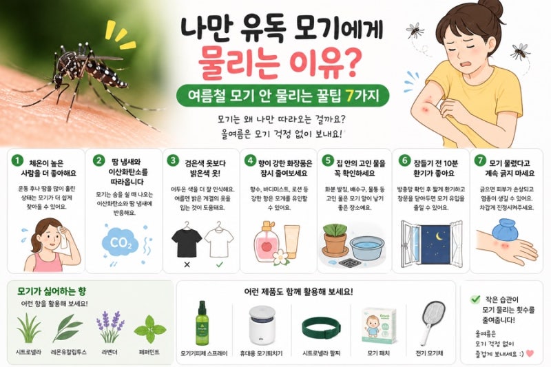 나만 유독 모기에게 물리는 이유? 여름철 모기 안 물리는 꿀팁 7가지