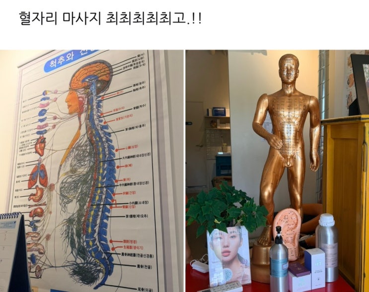 오송 HOT한 명품 오행 <b>쑥뜸방</b> 내돈내산 진심 찐추천, 시험관... 