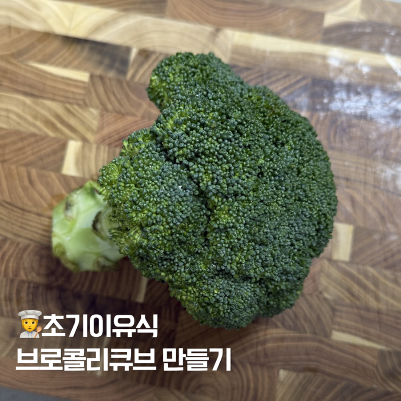 초기 토핑 이유식 브로콜리 큐브 만들기 베이비무브 조리법