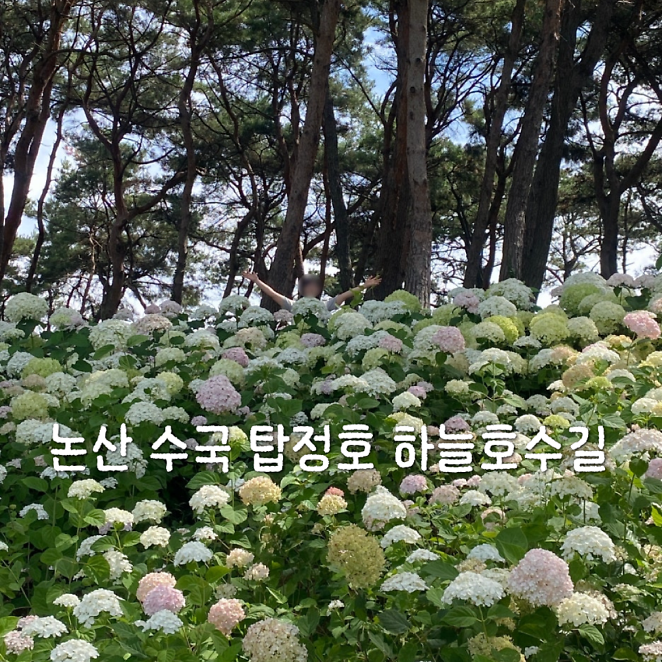 소풍 사진 1