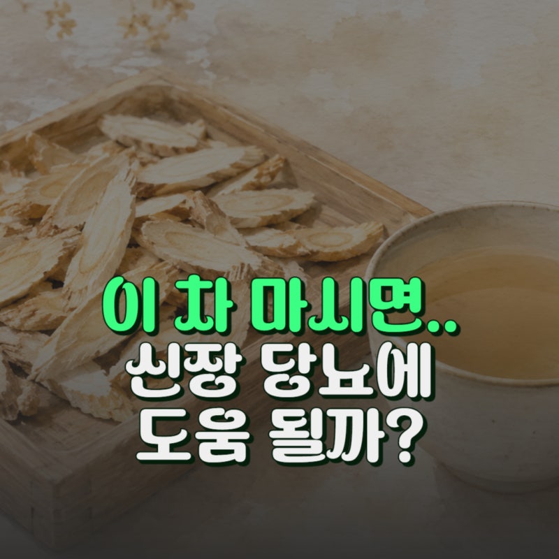 황기차 효능과 신장 당뇨에 좋다는데 부작용 없을까