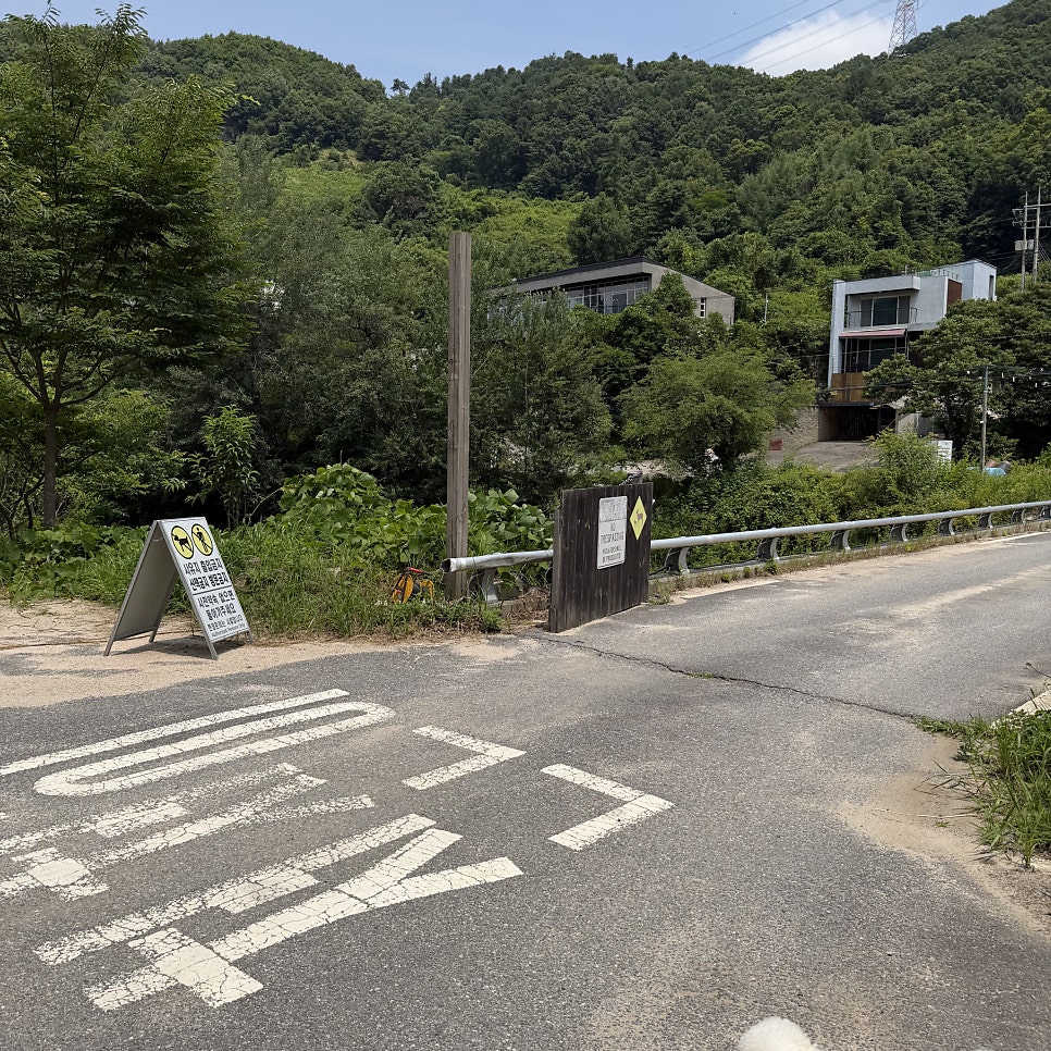새와참새 사진 3