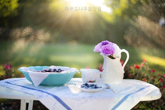 아몬드나무요양원 사진 2