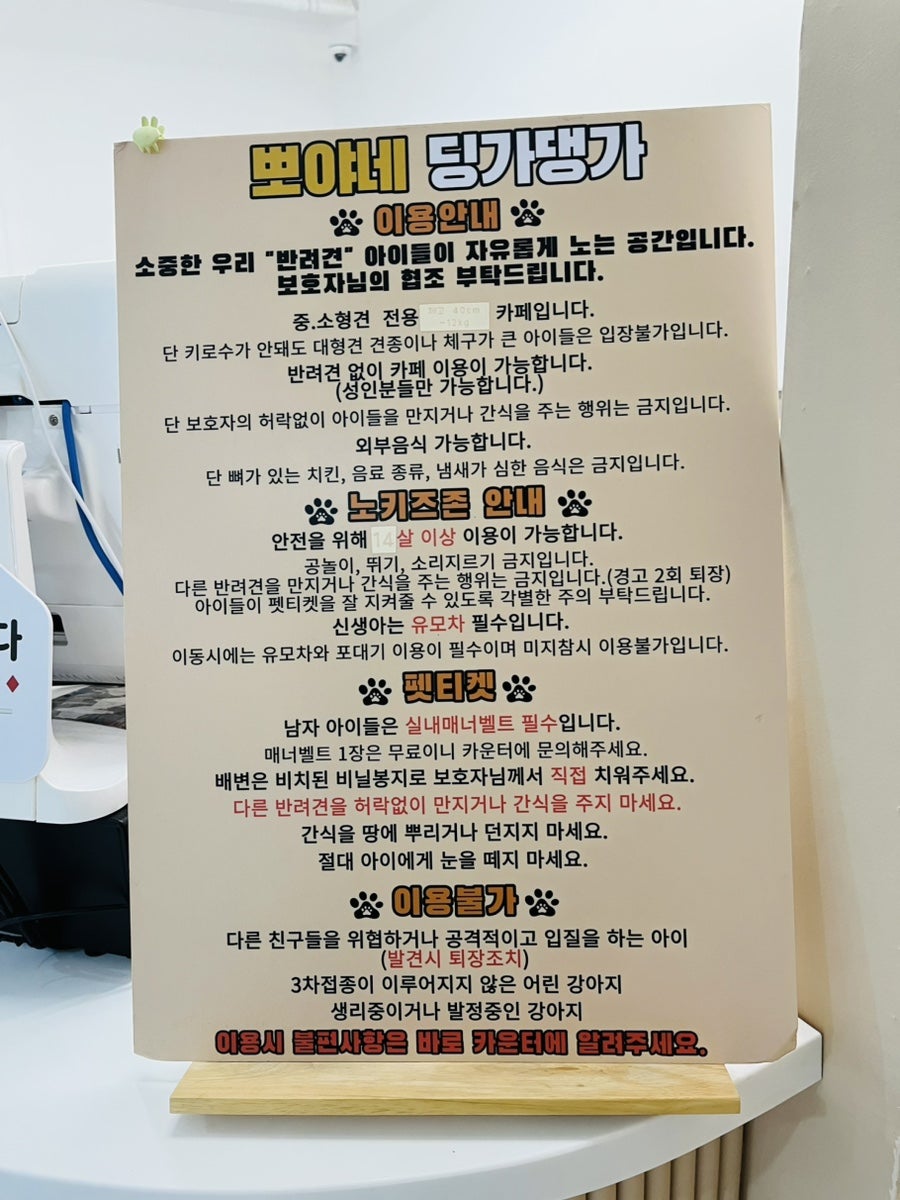 뽀야네딩가댕가 사진 4