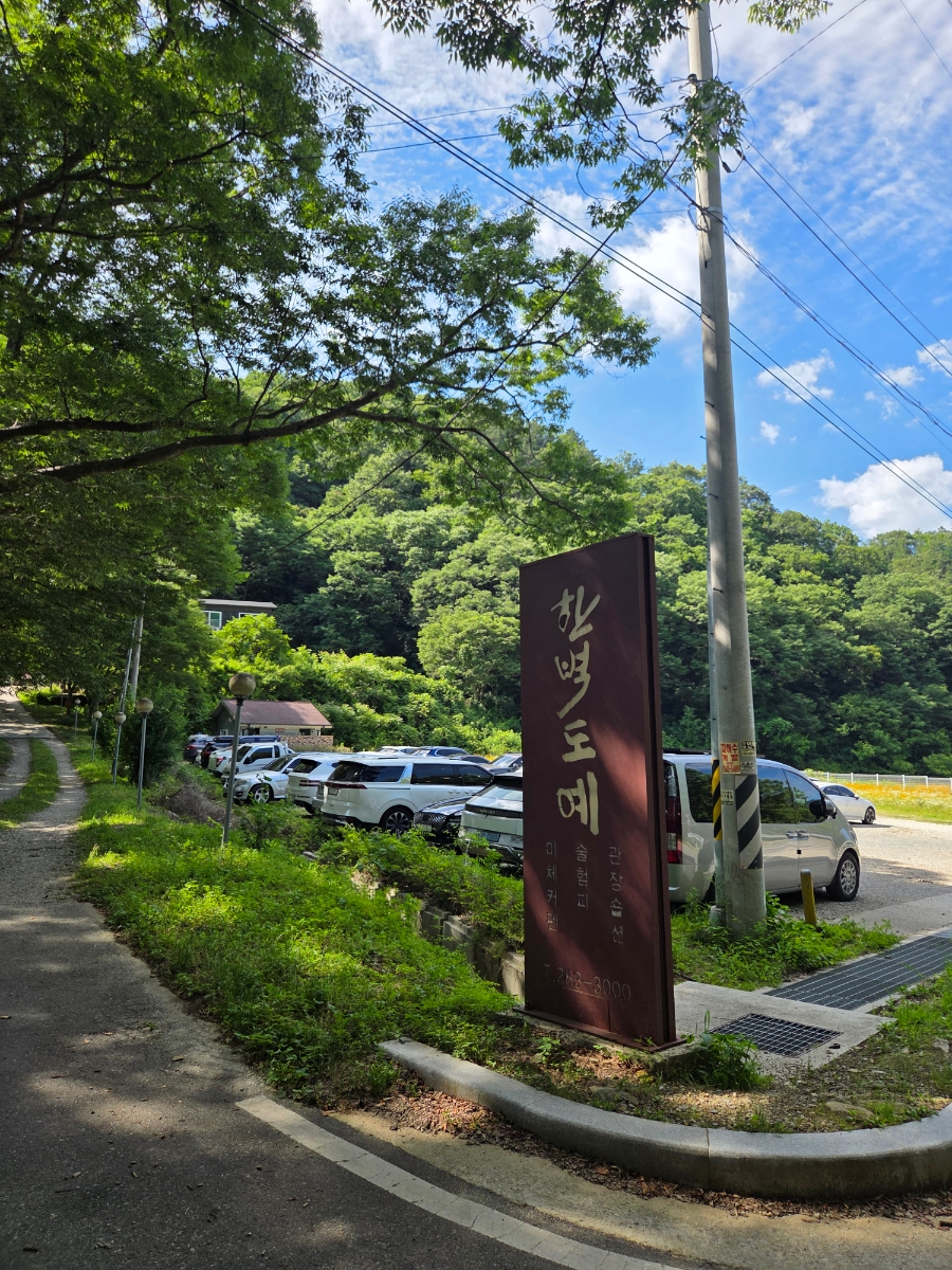 공기마을 편백나무숲 사진 1