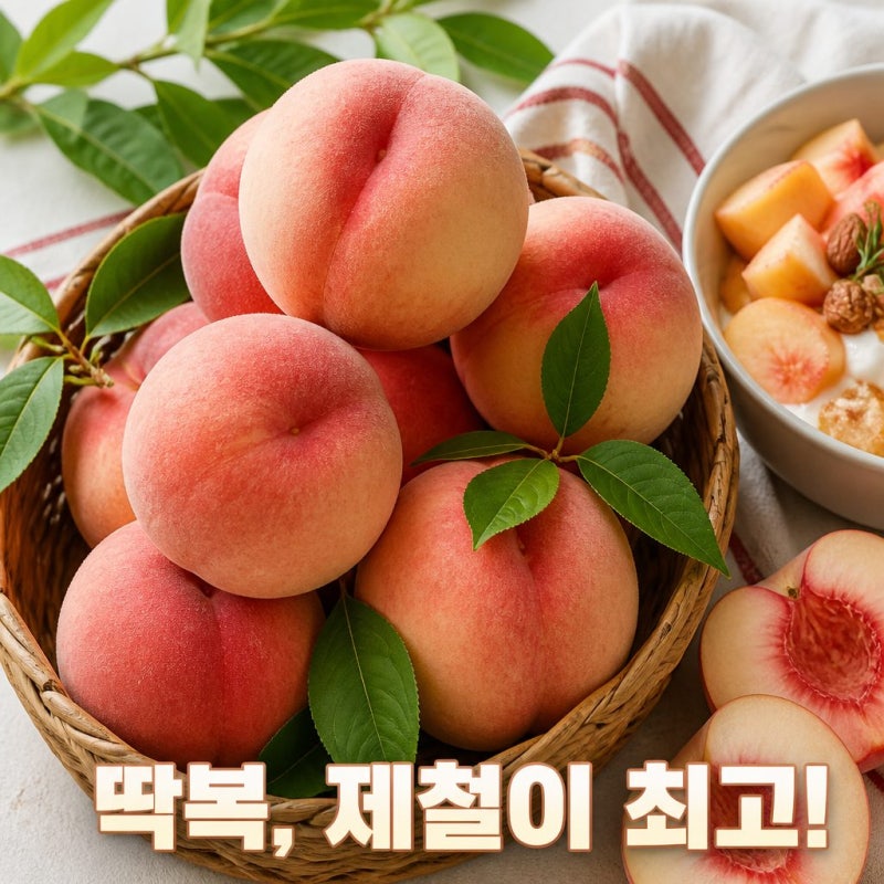 딱딱이복숭아 보관법과 제철 당도 높은 맛 후기