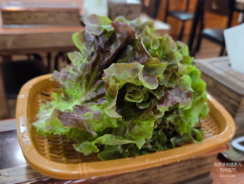 국시림포항물회 사진 4