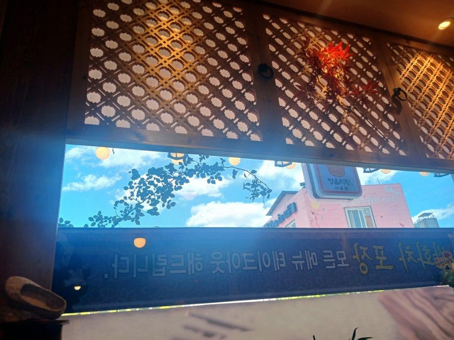 차밥나무 사진 5