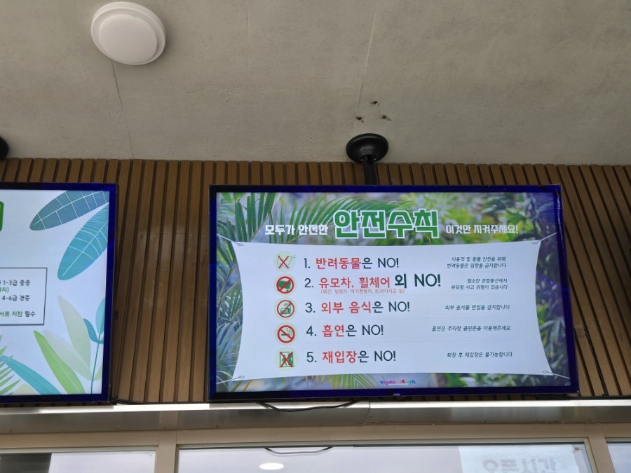 수선화카페 사진 4