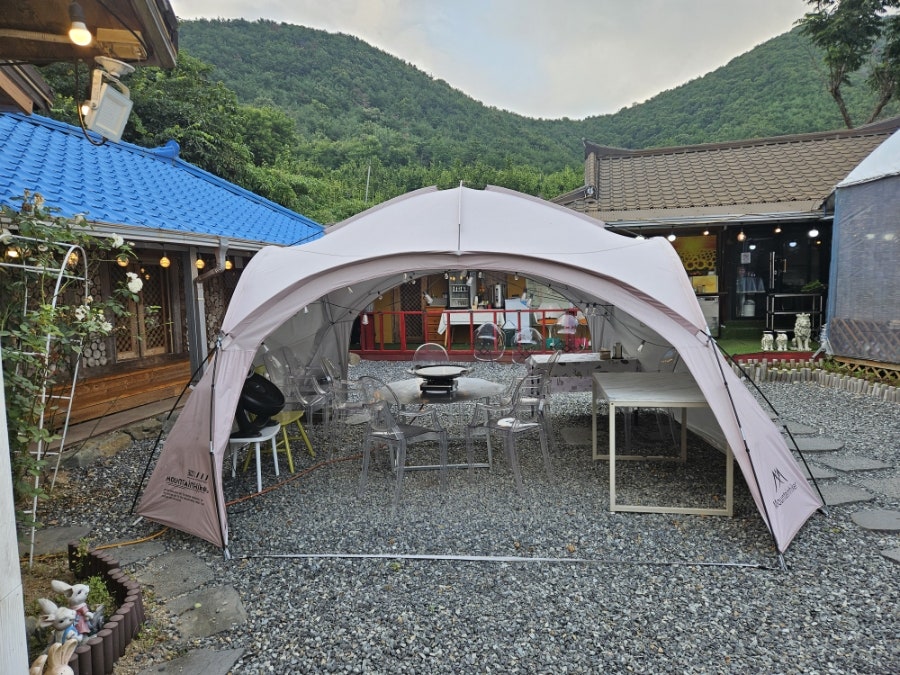 본향산야초 사진 2