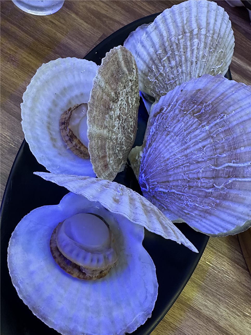 죽해수산 사진 5
