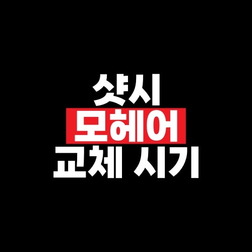 샷시 모헤어 교체 시기, 외풍이 느껴질 때 비용부터 따져야 할까
