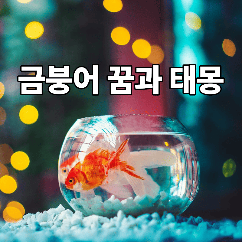 금붕어 꿈과 태몽, 예술적인 재능으로 인기와 매력 상승을 암시