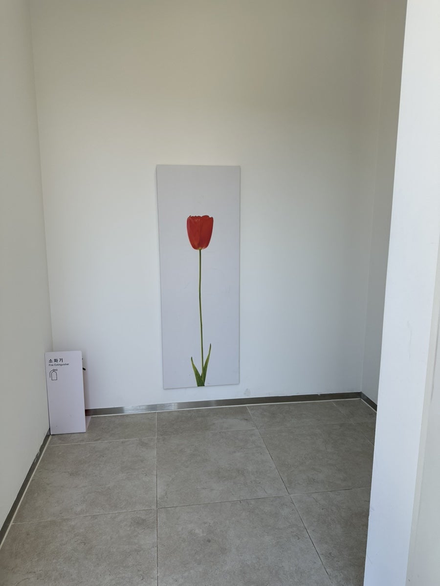 인터스텔라풀빌라 사진 4