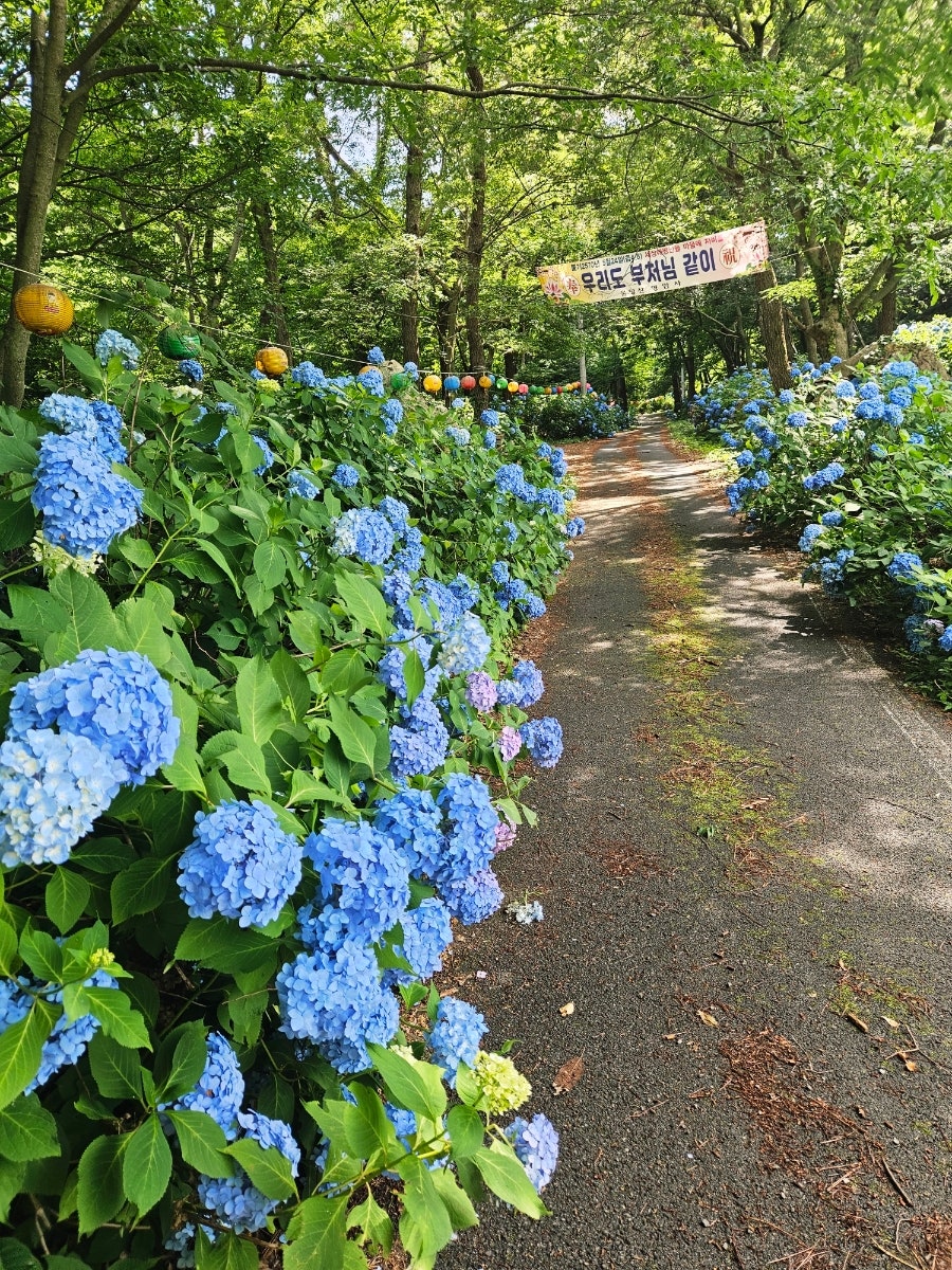 태봉산 사진 3