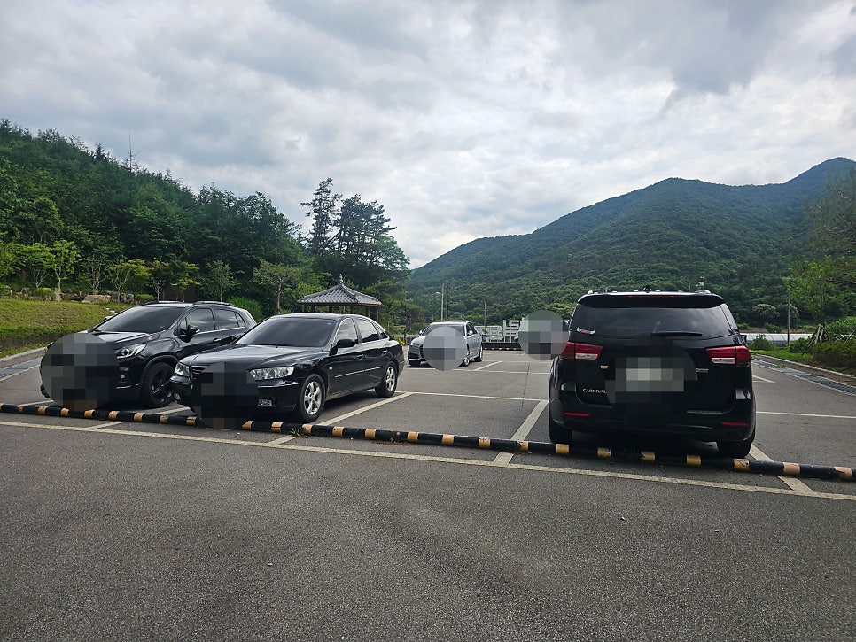 부귀편백숲산림욕장 사진 5