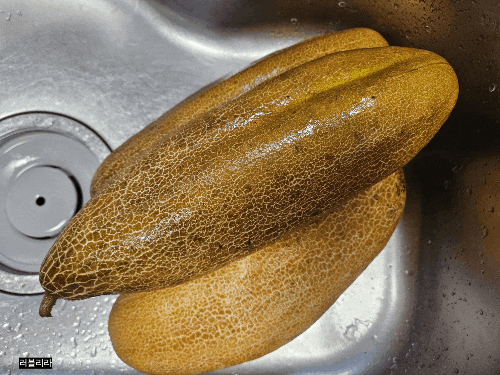 [쓴 노각으로 김치 담은 후기][양파, 노각생김치 만드는 방법][늙은 오이 쓴맛 줄이는 절이기]....