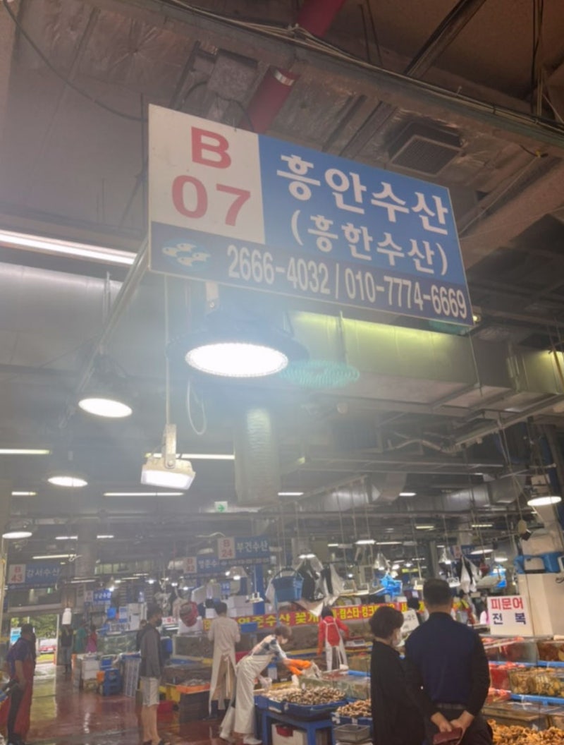 수산시장 장보기 꿀팁! 제로페이로 회와 해산물 20% 할인받는 방법