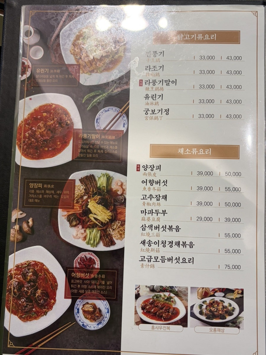 도일처 사진 5