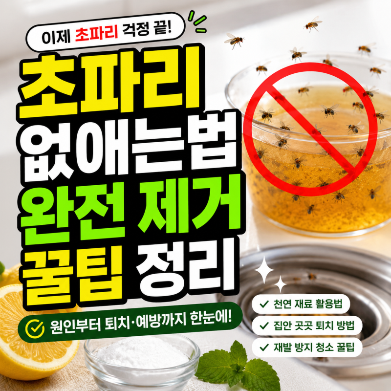 초파리없애는법 완전 제거꿀팁 정리