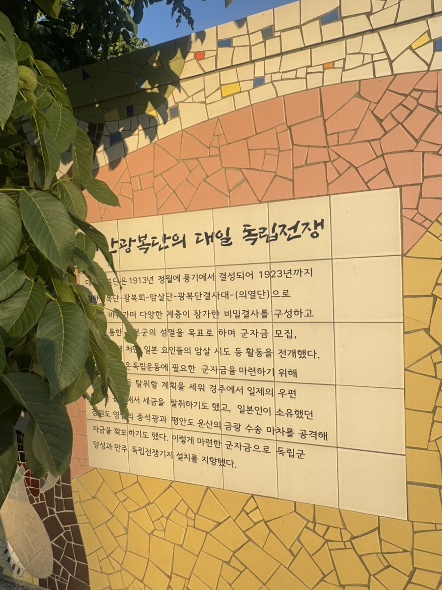 인담유 사진 6