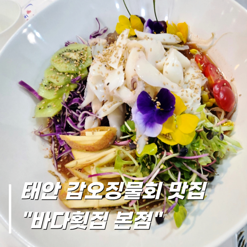 태안 물회 맛집 다시찾은 마검포 바다횟집 태안본점