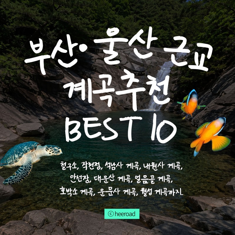 부산·울산 근교 계곡 추천 BEST 10, 올여름 당일치기 물놀이 명소 총정리 (경남, 경북 포함)