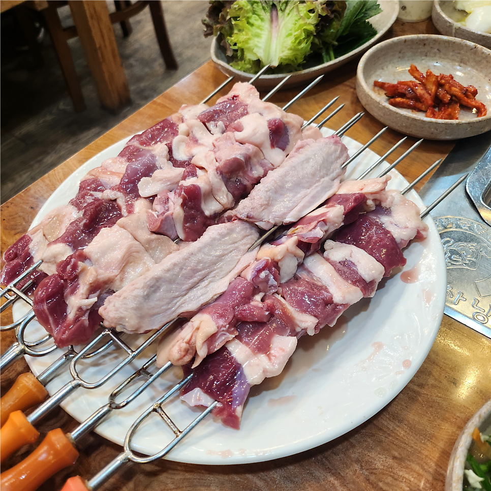 오리사냥 사진 5