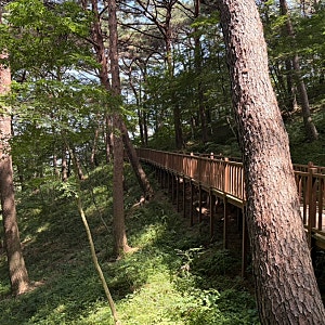 태안 안면도자연휴양림 / 입장료, 주차요금, 주의 사항 등 모든 정보는 여기에