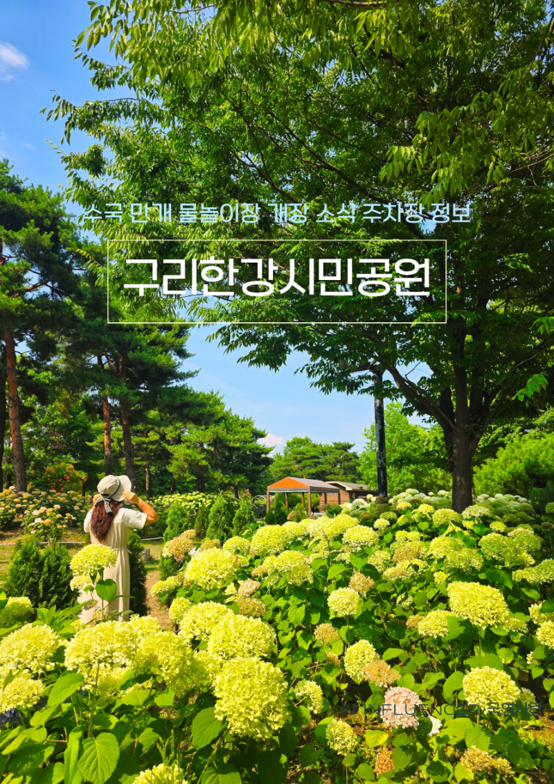 구리한강시민공원 수국 만개 물놀이장 개장 소식 주차장 정보까지