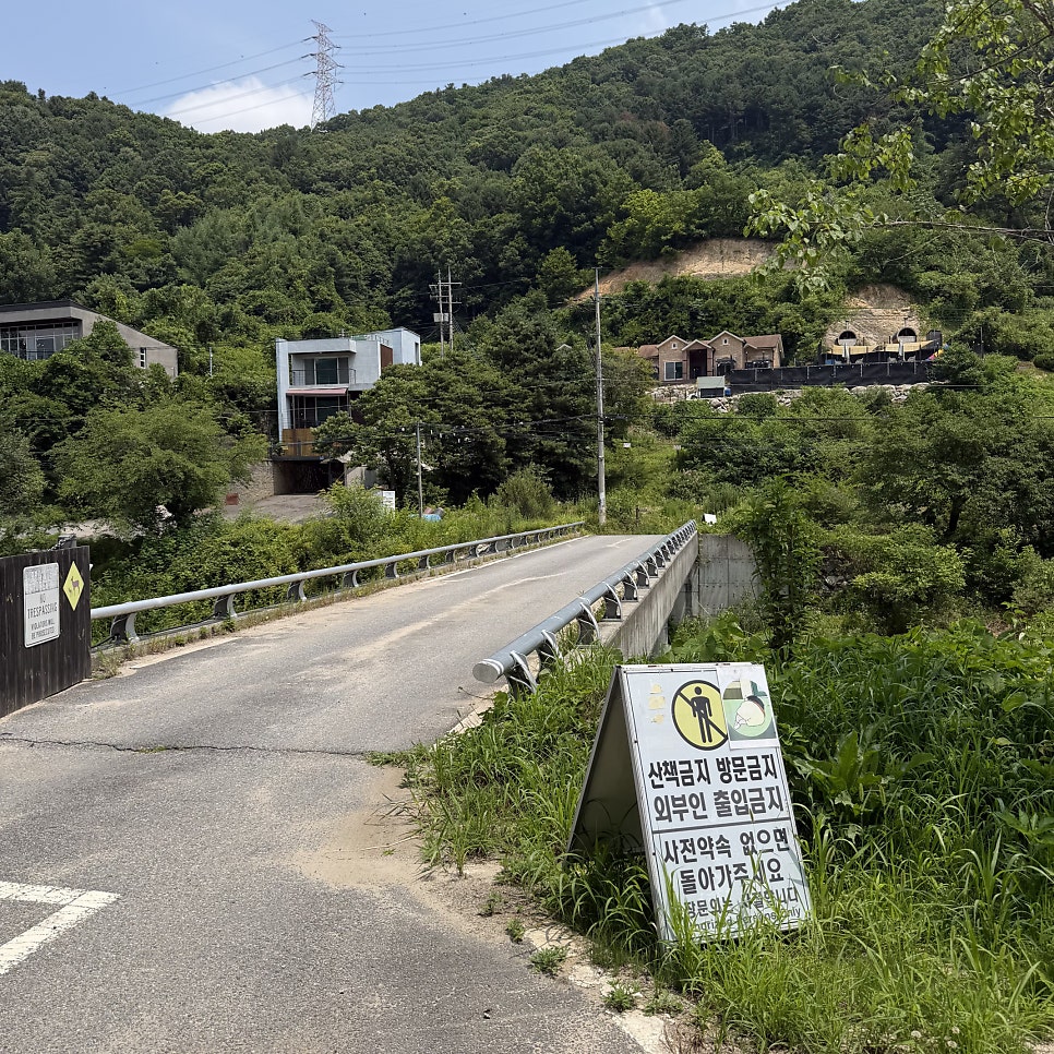 새와참새 사진 4