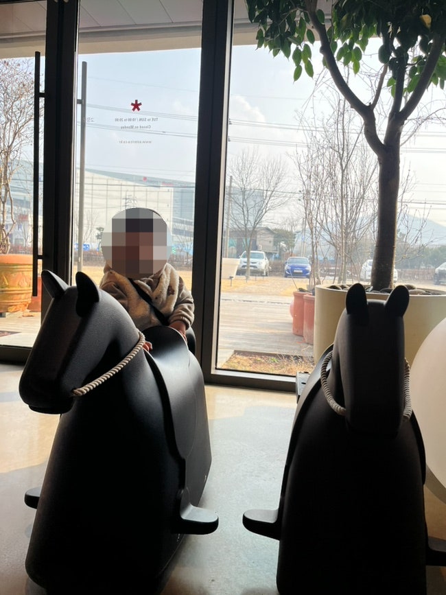 아스테리카 바이 더체어 사진 6