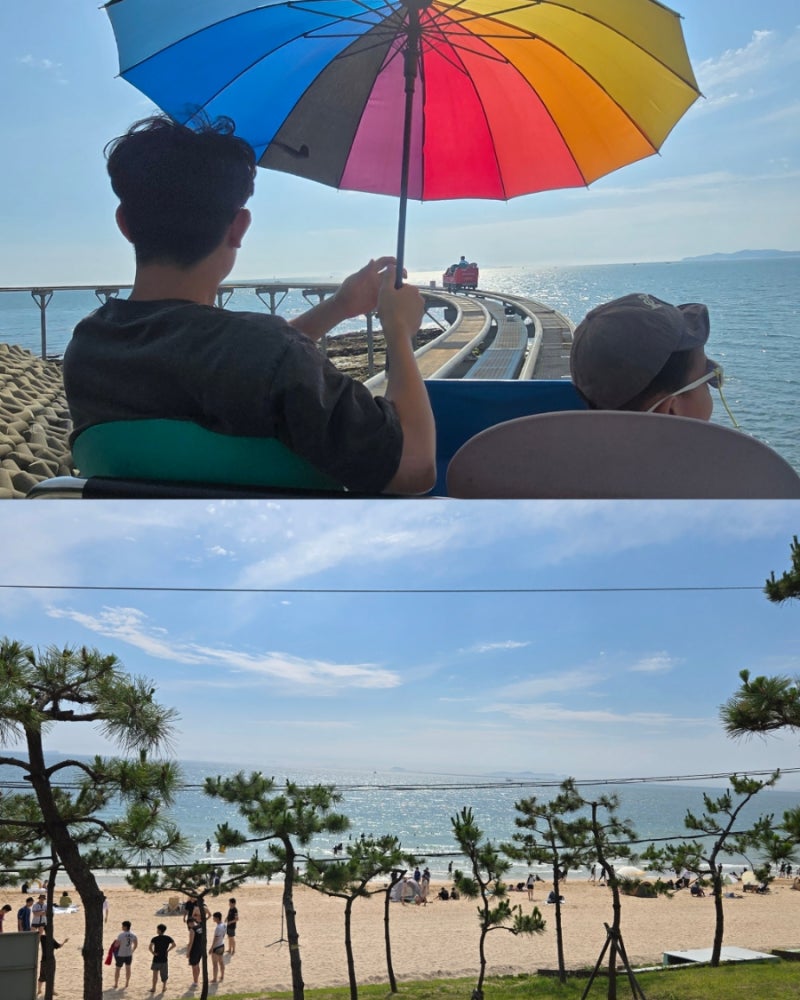 보령 대천해수욕장 스카이바이크｜아기랑 타본 솔직 후기와 이용 꿀팁