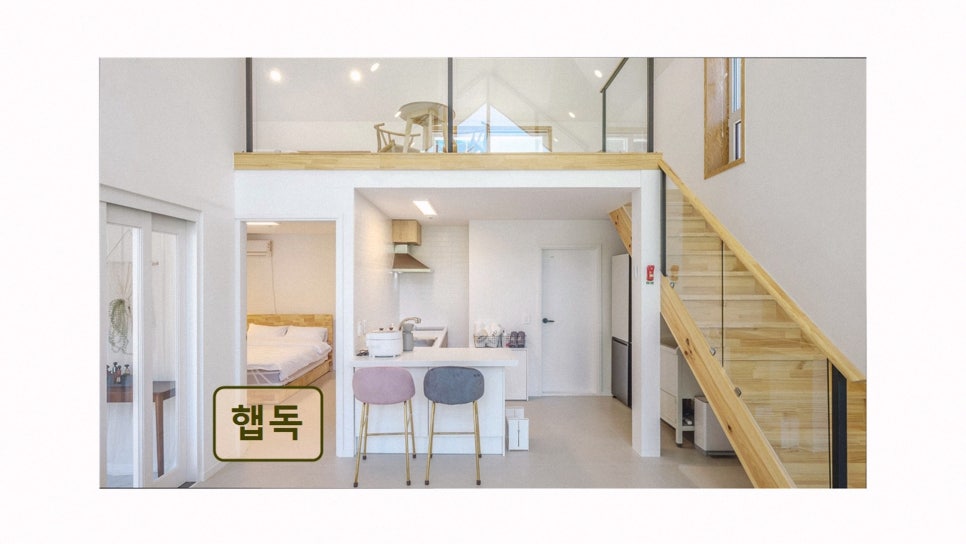 햅독 사진 2