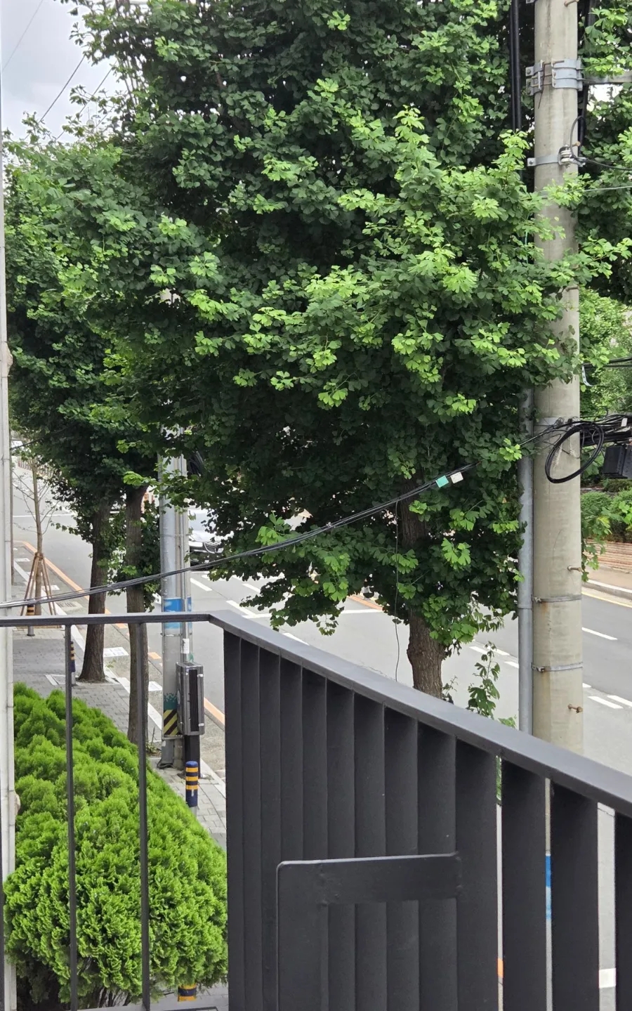 백덕장코다리 미남점 사진 2