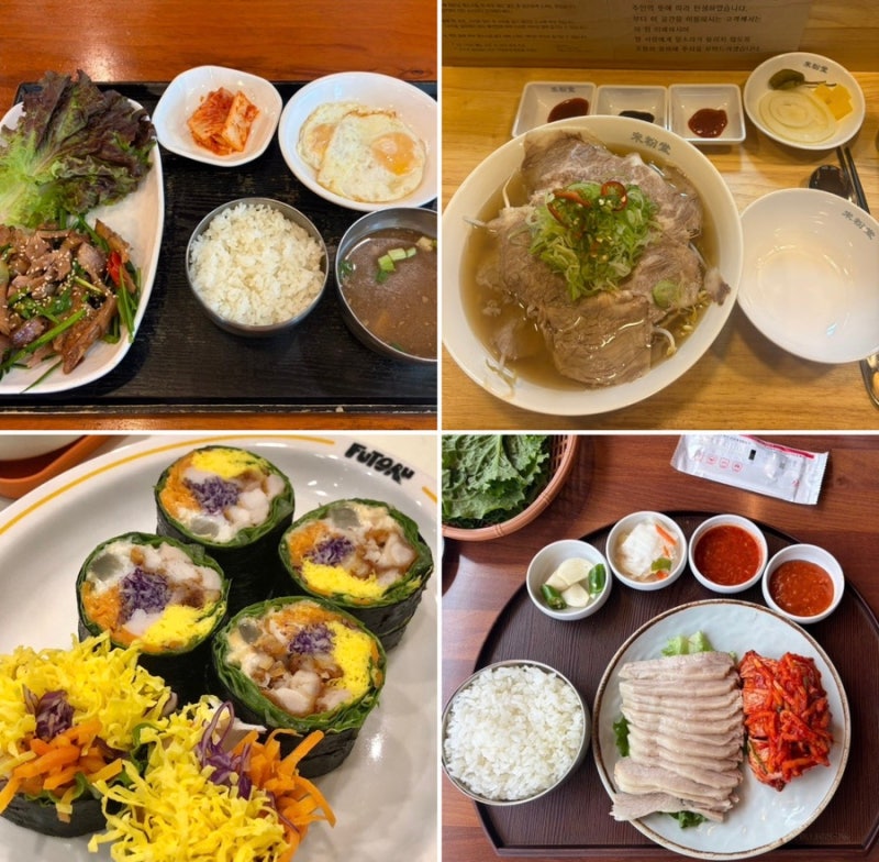 강남구청역 점심 맛집 모음 10개 (혼밥 )