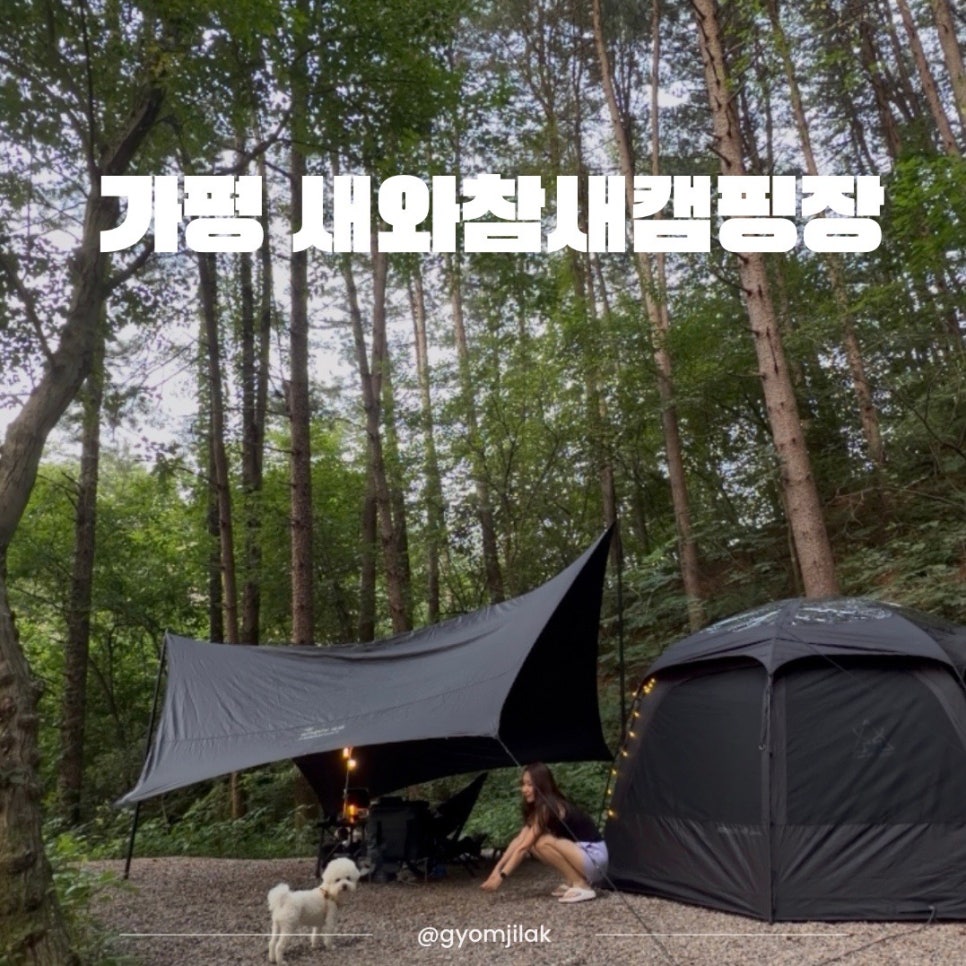 새와참새 사진 1