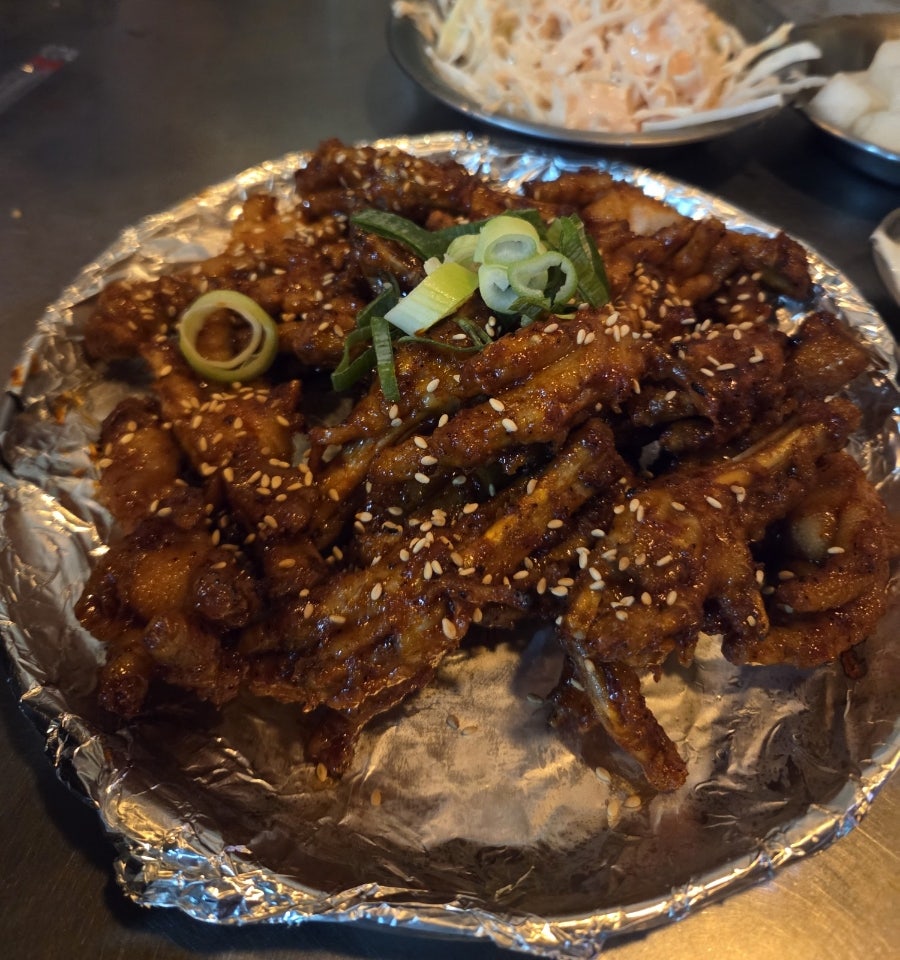 닭발자국 사진 1