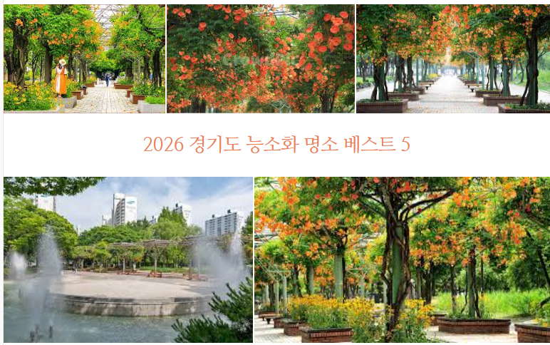 민속바지락칼국수 사진 1