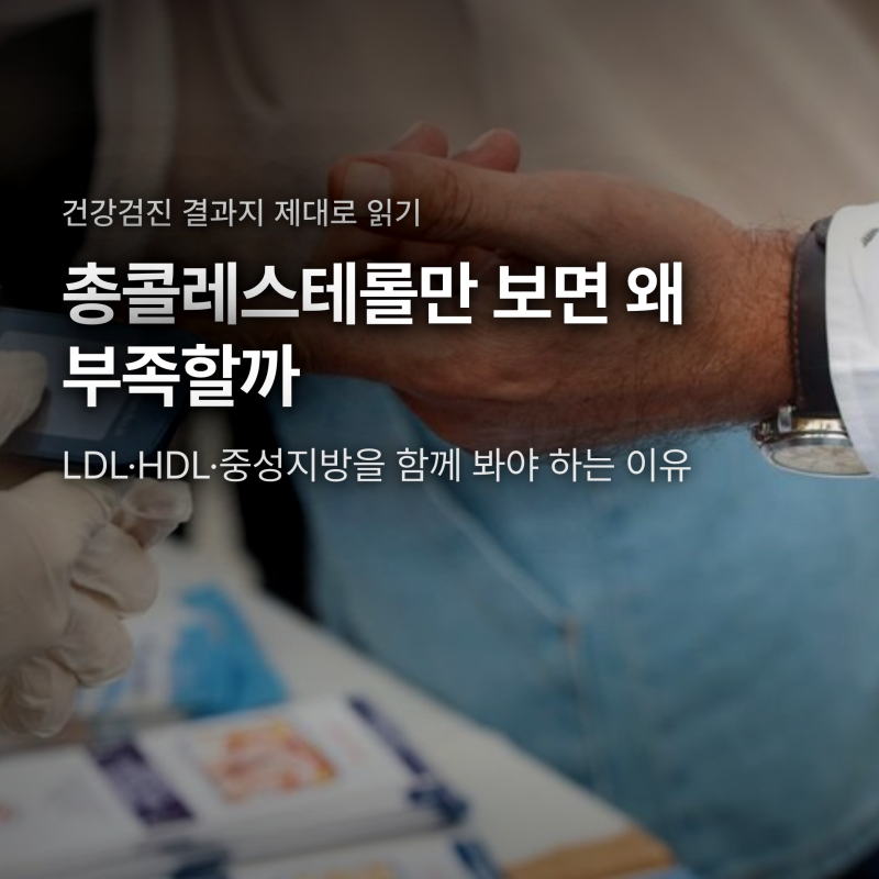 총콜레스테롤만 정상이면 안심? LDL·HDL·중성지방 함께 봐야 하는 이유